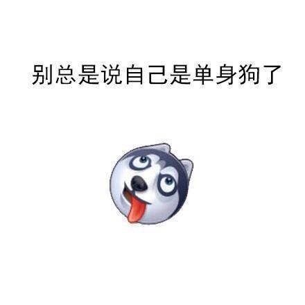 是不是你！！！！