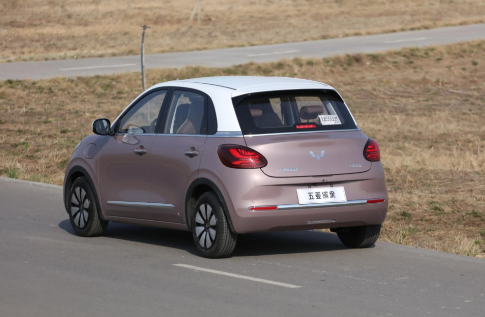 很多坚持买燃油车的人都陷入了一个误区，燃油车和新能源车的心脏都是电机，但从寿命上