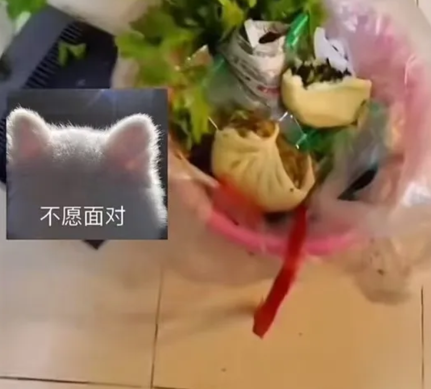 2022年7月，一男子不喜欢丈母娘做的包子，吃两口后随意扔到垃圾桶。妻子看到后，