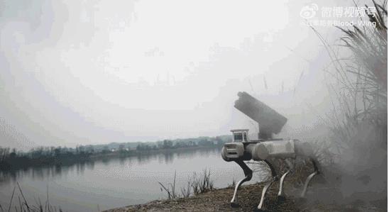 中方机器狗当着全世界的面干了一件大事，五角大楼：这仗到底还怎么打，彻底完了！
