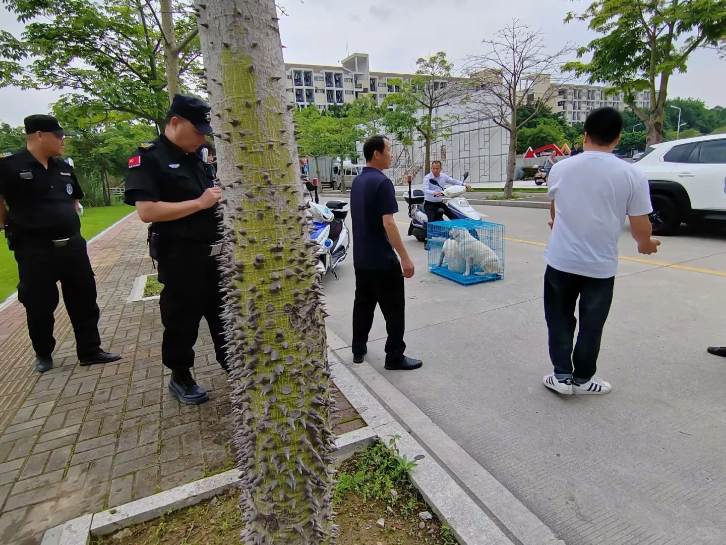 福州大学的拉布拉多差点要被送去狗肉厂了
是不是谁又把狗遗弃在福州大学！
说了多少