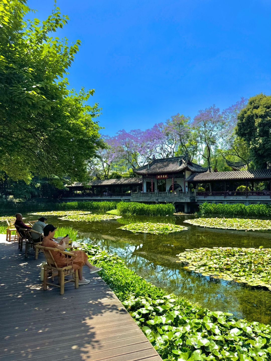成都！！睡莲开了！！谁懂这个公园的含春量……
成都的初夏风里都是浪漫的气息…
蓝