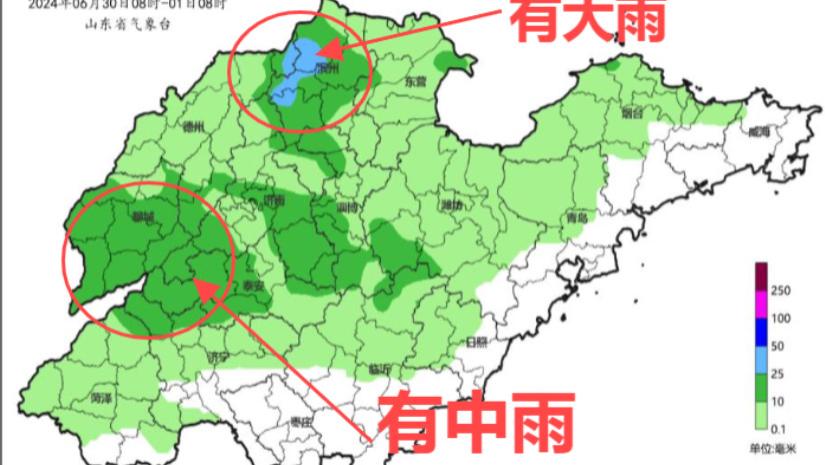 天降惊喜雨，山东强降雨来袭，农民伯伯们的心情如何？