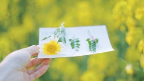 新手爸妈必看！小宝宝的日常护理全攻略