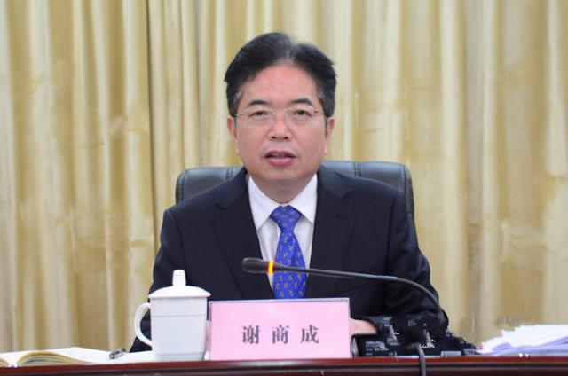 怀化市政协原副主席谢商成受审，牵出系列腐败问题