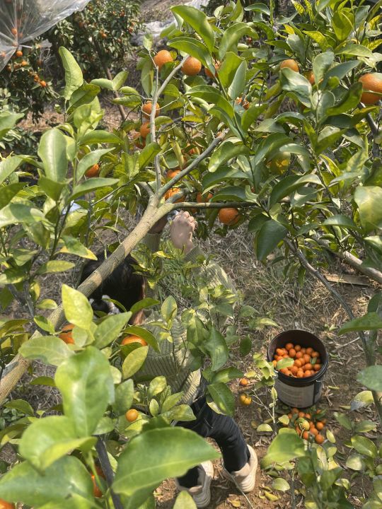 表妹今天好像不开心啊