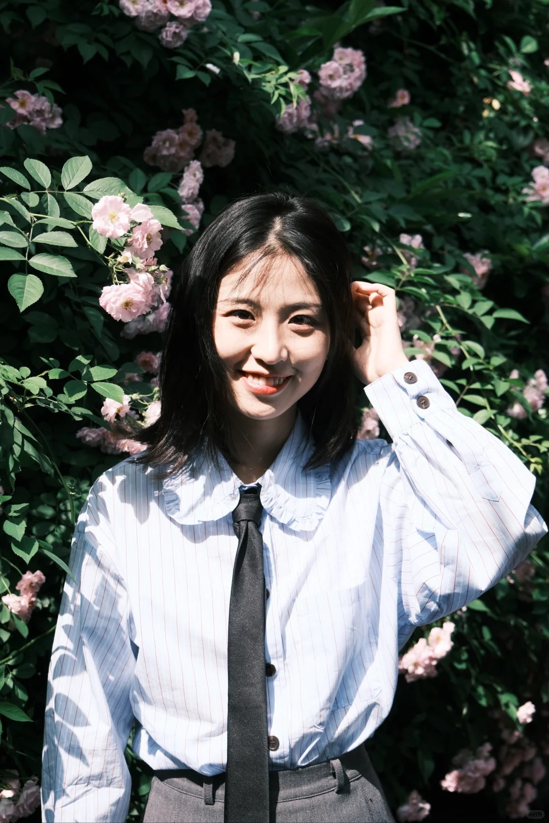 🌸期·蔷薇
凯瑟琳的蔷薇叠加富士大法直出，妙啊~