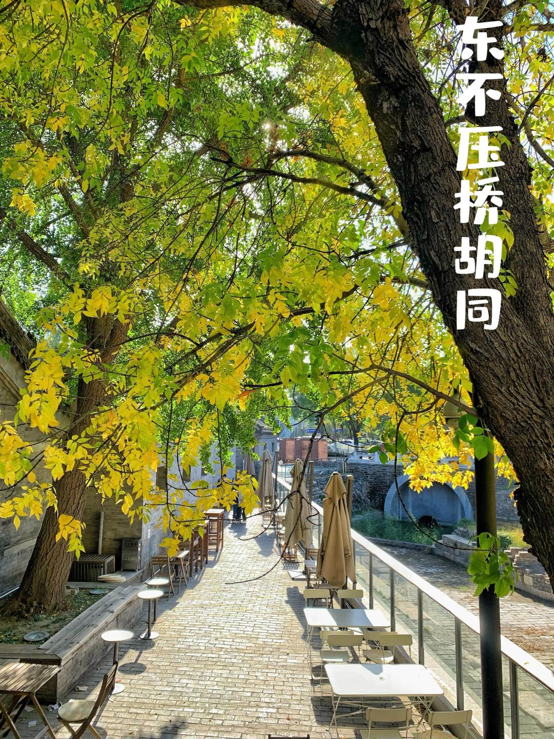 大家记得来拍美美的照片
