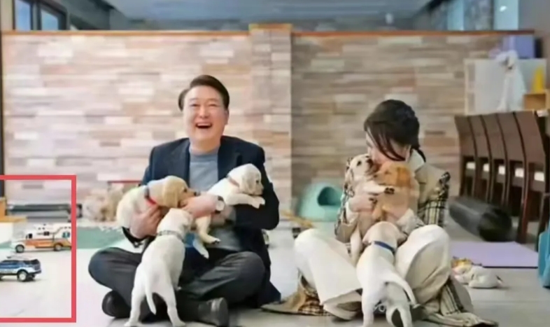 你以为尹锡悦是度日如年吗？你以为金建希是整天以泪洗面吗？他们的心大得很，根本就不