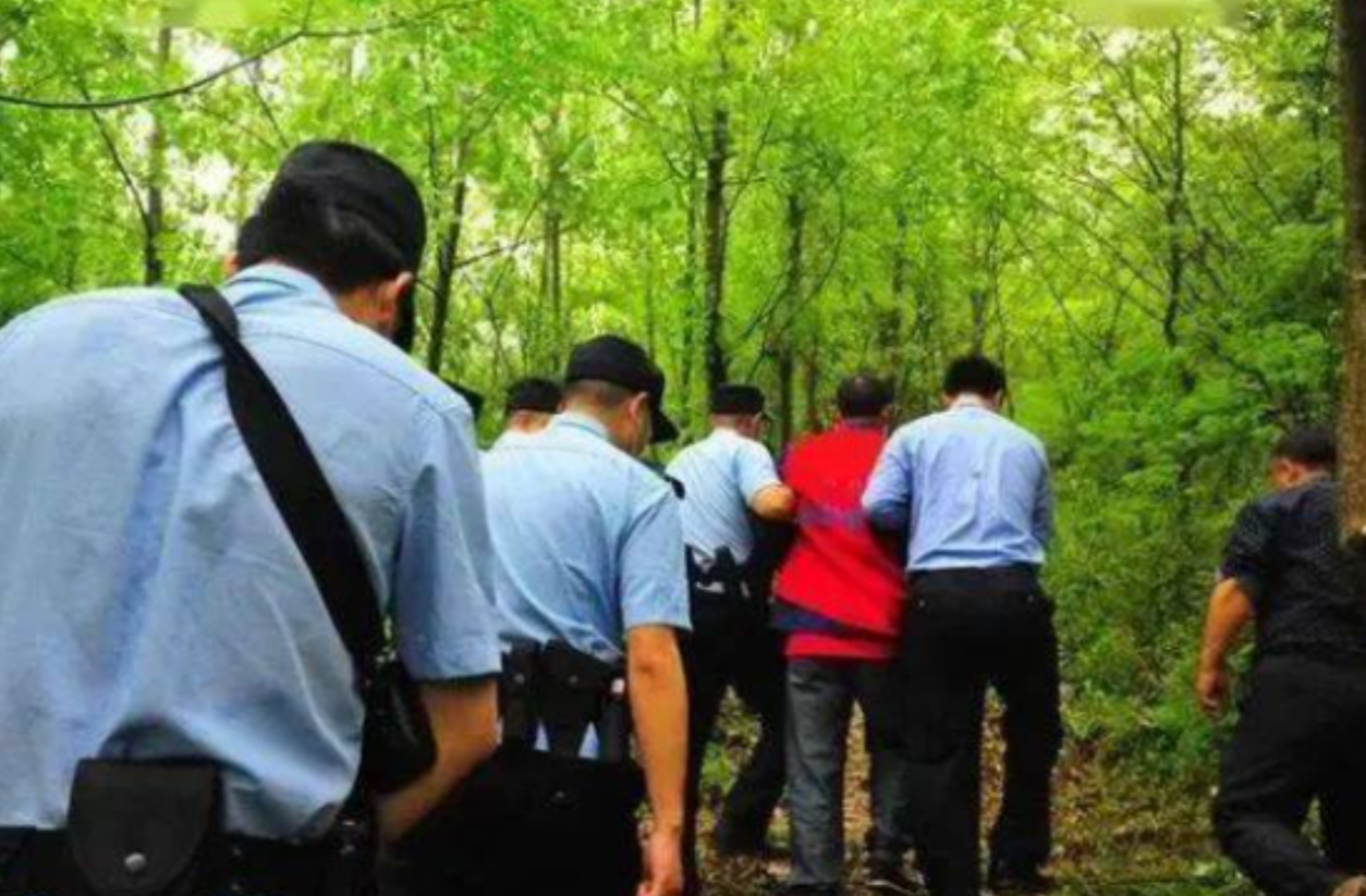 老实人绝望的怒火！陕西商洛56岁老汉不小心砍一根树枝被索赔2万，50分钟用斧头怒