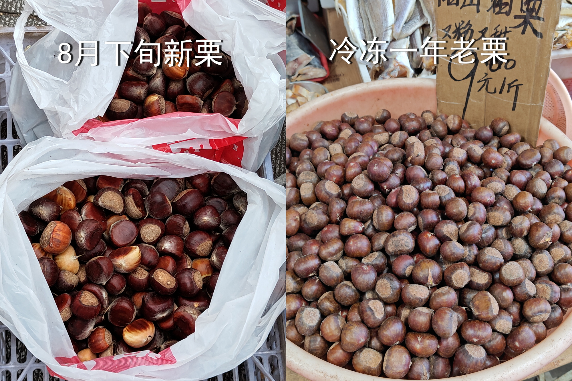 【冻栗和新栗】有网友问怎么区分冷冻了一年的栗子，请看图。左边是去年8月27日，在