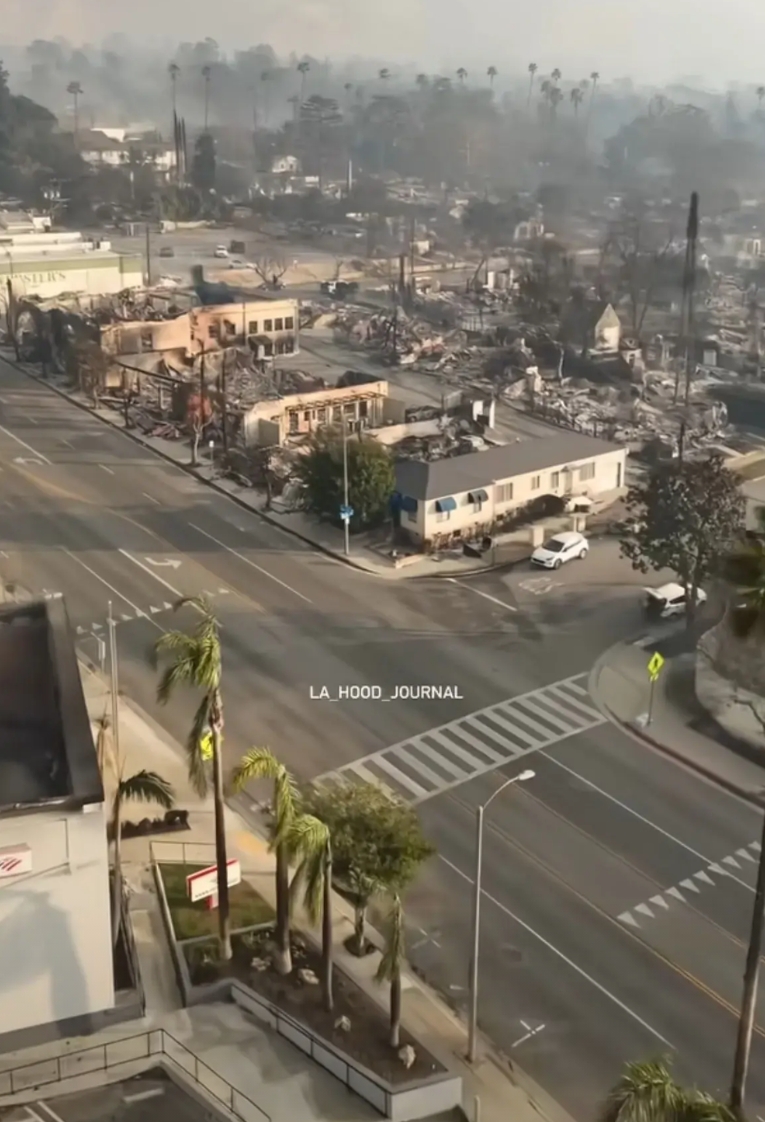好莱坞能拍出《生化危机》这样的大片，却没想到类似场景有一天会在洛杉矶上演，造成现