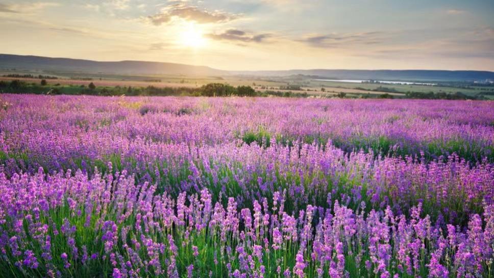 别有一番风景的夏令营