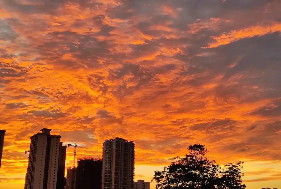 原来旺自己是有玄学的，狠狠记住：
1.垃圾桶，尽量不放门口。
2.大镜子，不对床