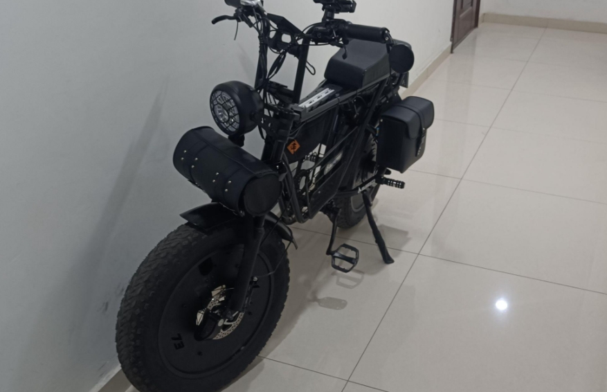 为什么发达国家的人不愿意买电动自行车？其实他们不是不乐意，而是真没有。
我们一个