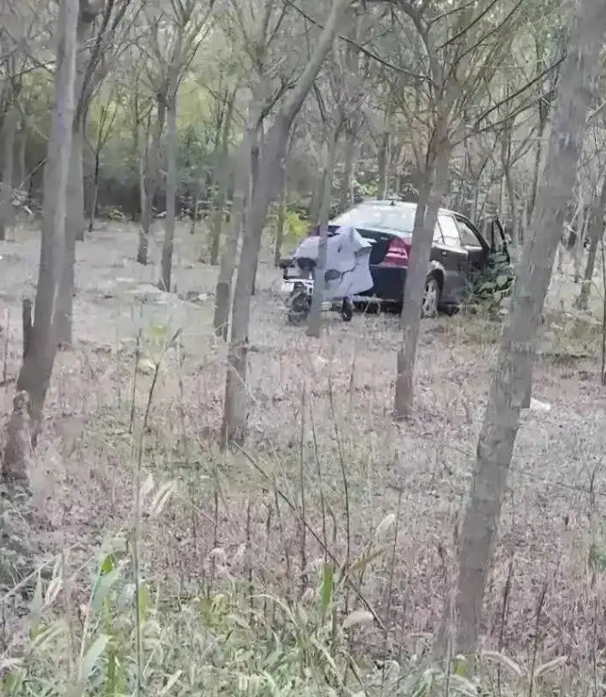 声音听起来很痛苦，救还是不救？