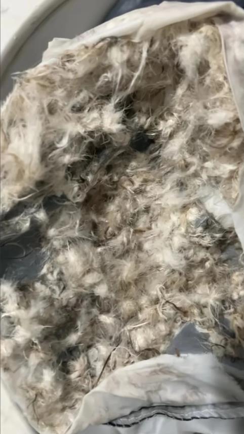 399买的羽绒服，特意拆开看了下，羽毛看起来黑黑的，大家帮看看这是真品吗？