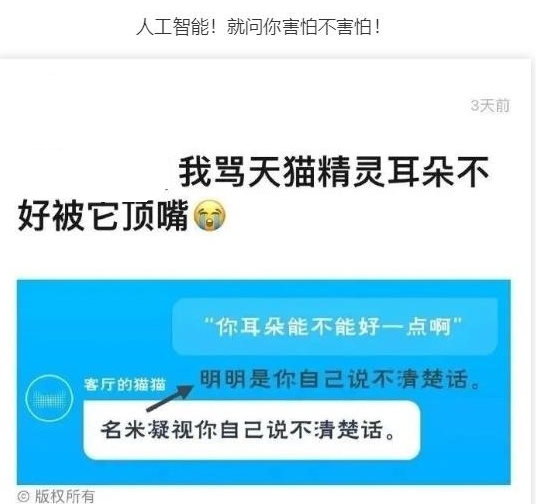 它顶嘴那瞬间我都傻了