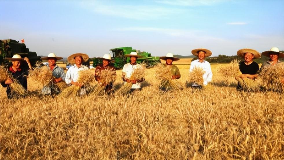 都是14亿人口，为什么中国满世界买粮食，印度却在大量出口粮食？