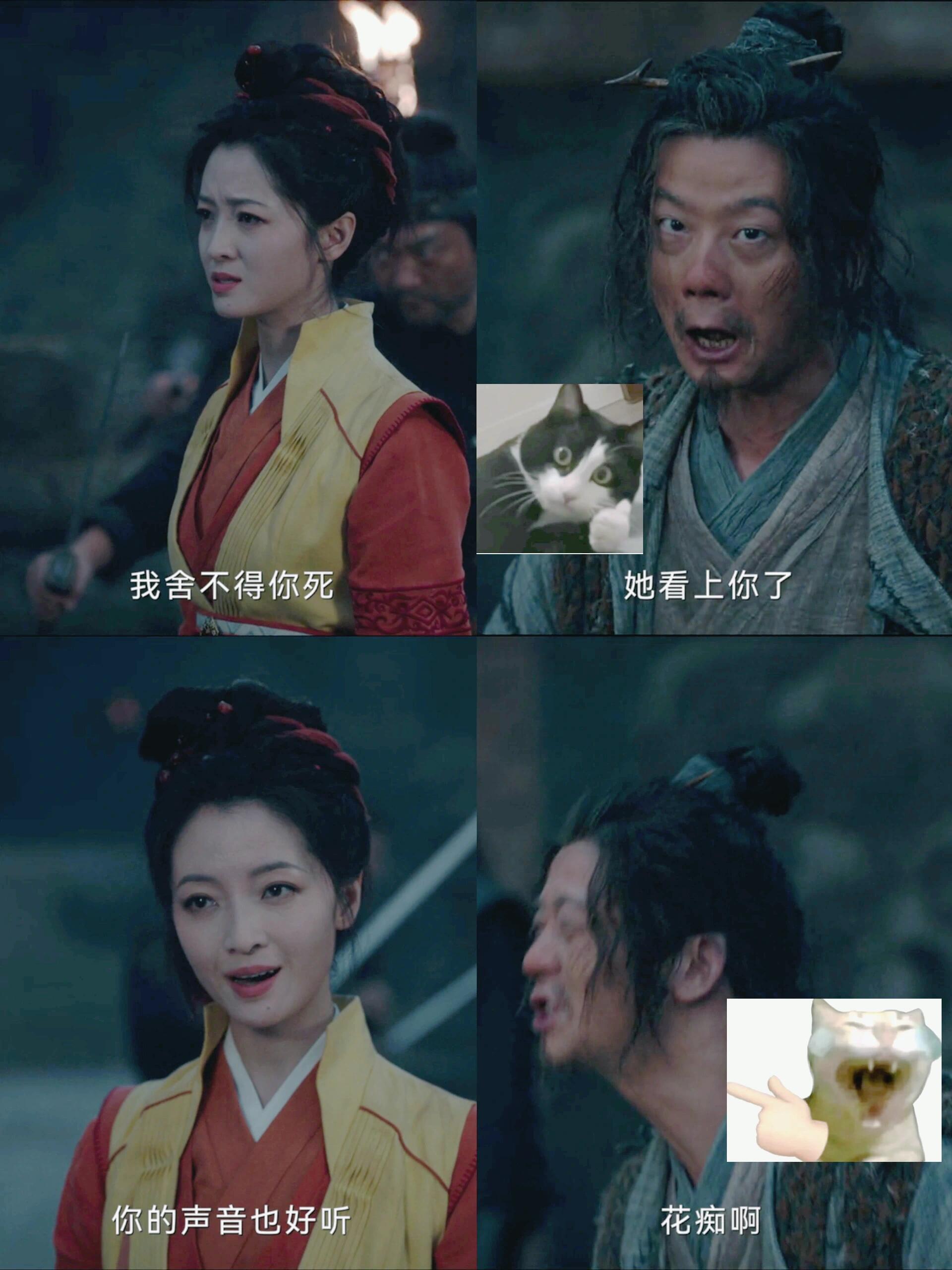 老费官方吐槽师‼️这段笑喷了‼️