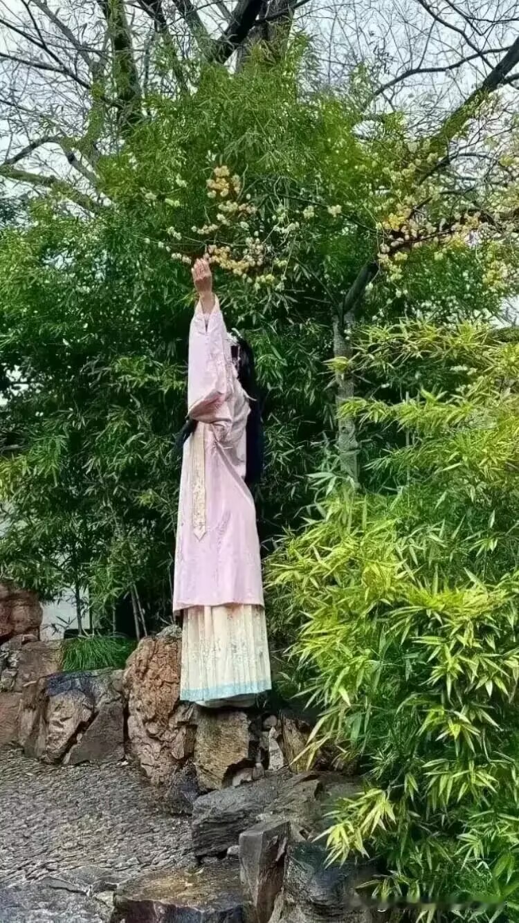 去了苏园游玩，给妻子拍了些照片，但她已经一个星期没有理我了，我不明白她为什么这样
