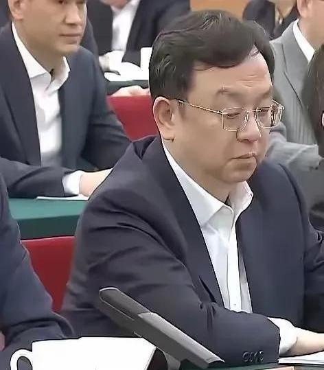 家人们，你们有没有觉得现在汽车广告太能 “画大饼” 啦？比亚迪的王传福在座谈会上