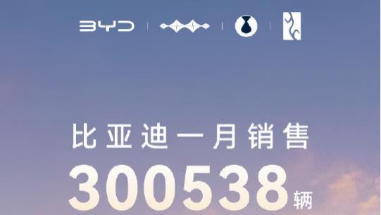 日销量破万，比亚迪2025年1月销量300538辆，迎来“开门红”！