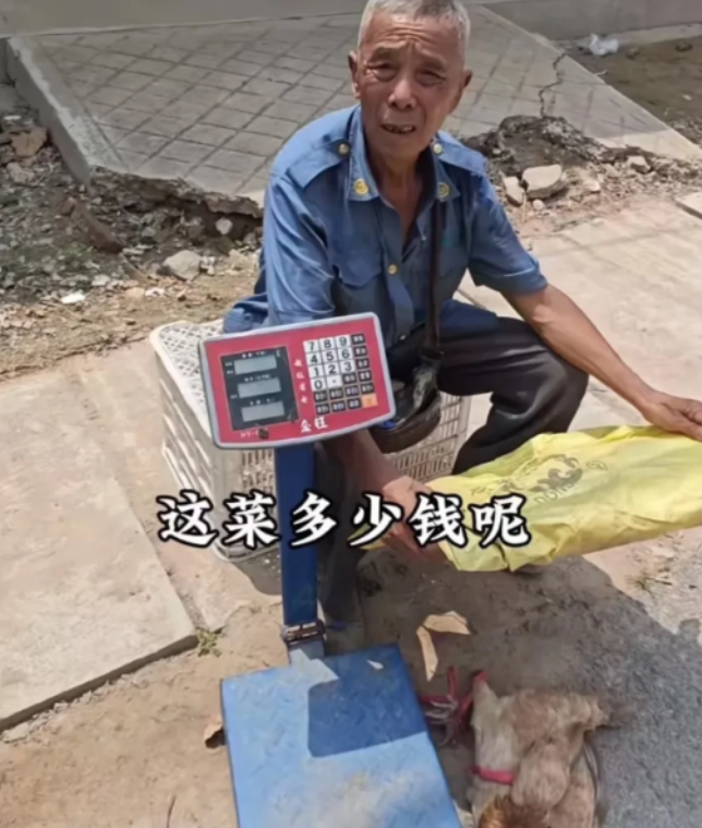 看哭了！山东，儿子10多年前车祸去世，儿媳跟着人跑了！78岁大爷独自抚养孙子长大