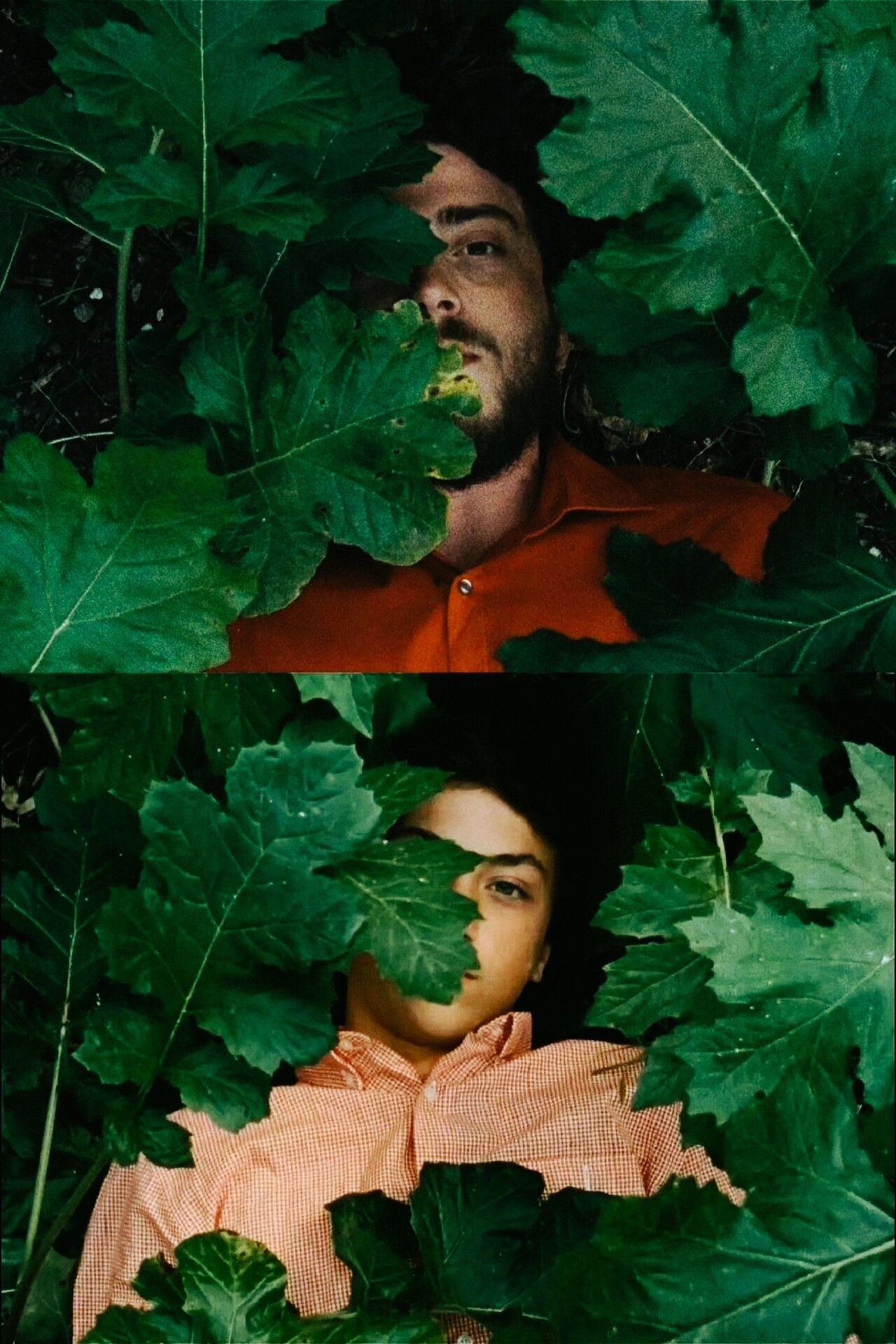 这部电影有审美牛逼症