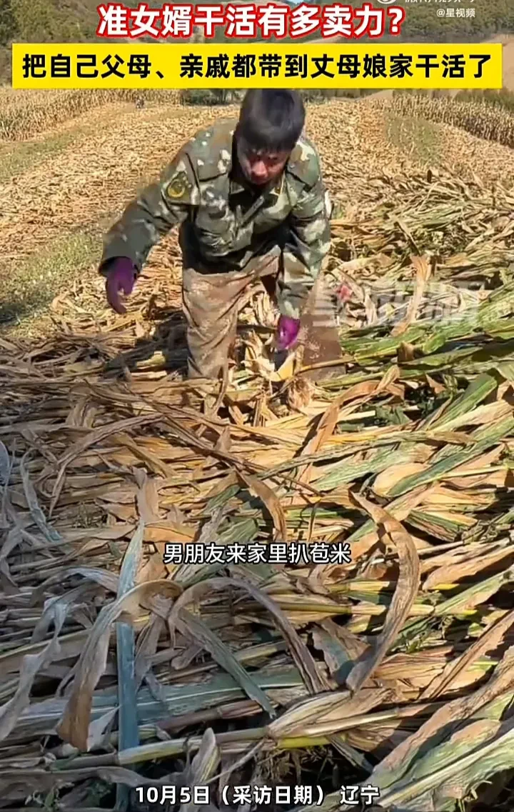 这个准女婿真是太优秀了！