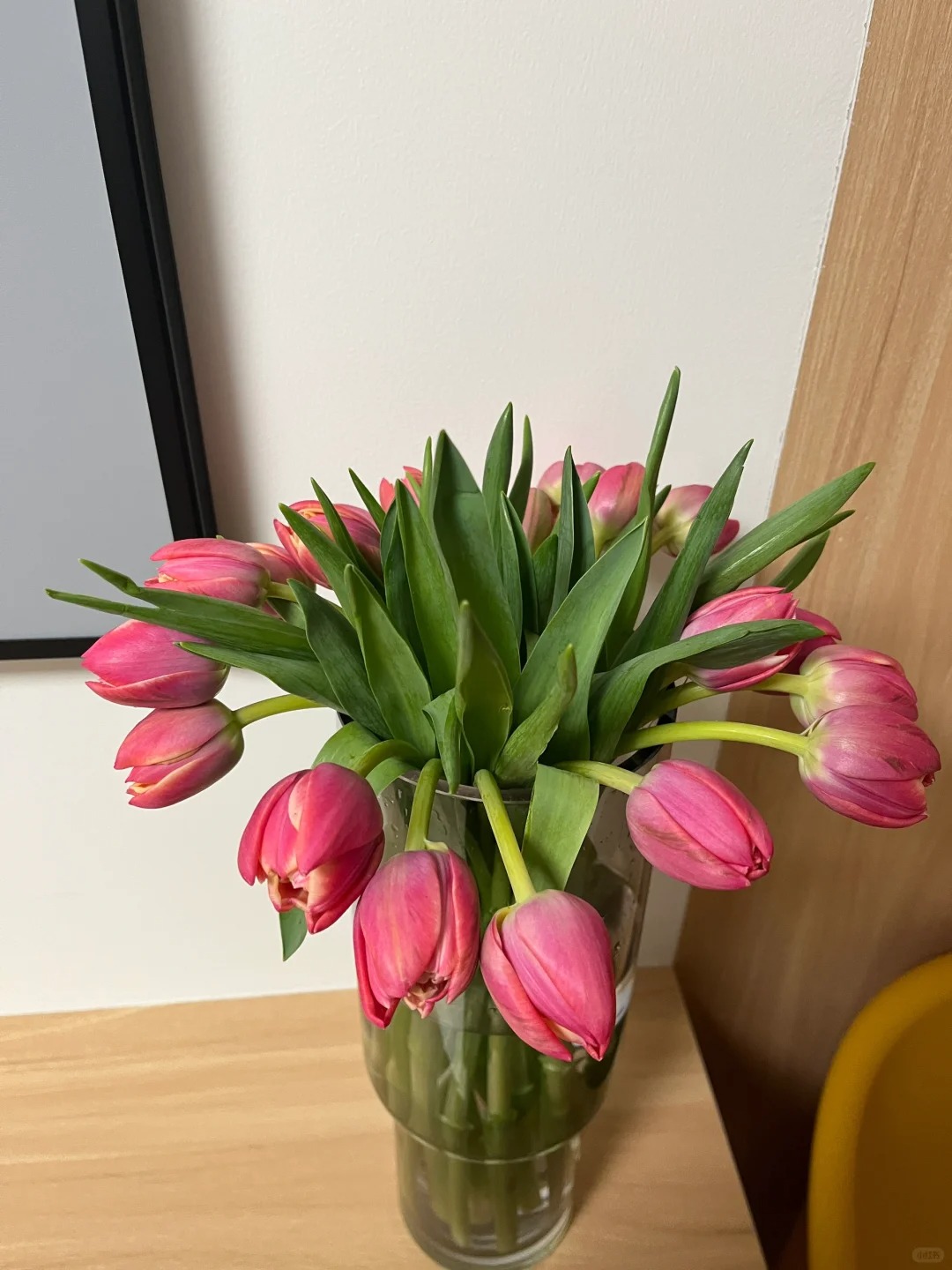 第一次买郁金香🌷，这个状态咋回事
摸起来还是挺有生机活力的，但是它的头都是垂垂