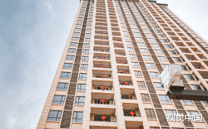 我为救妻子被高空坠物砸到导致无法生育，在妻子的恳求下我们收养了她白月光的遗孤，后来那孩子捅穿了我的心