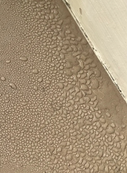 到了梅雨季节，每天都是湿漉漉的，衣服被子怎么晒也晒不干。
 
我买了很多防潮盒和