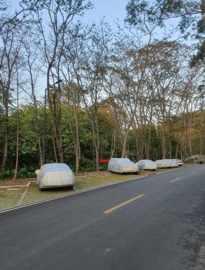 为什么会有这么多两桶油大军？
1.一些人被资本给迷昏了头，非常认可“你可以不开，