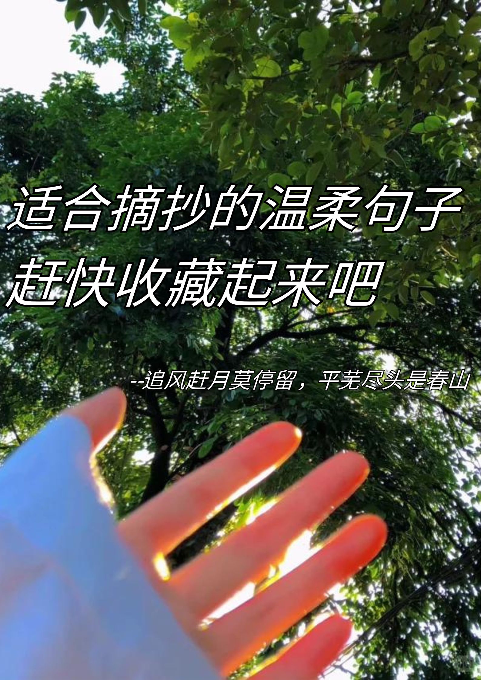 适合摘抄的温柔句子，赶紧收藏起来吧！