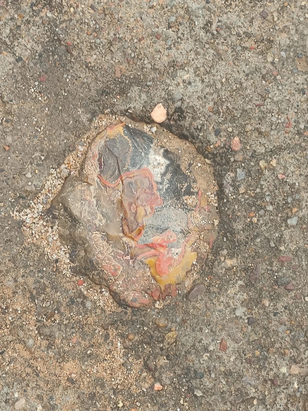 入住宾馆的小路，竟然是玛瑙水晶铺成的