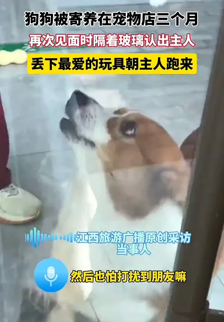狗比人忠诚！