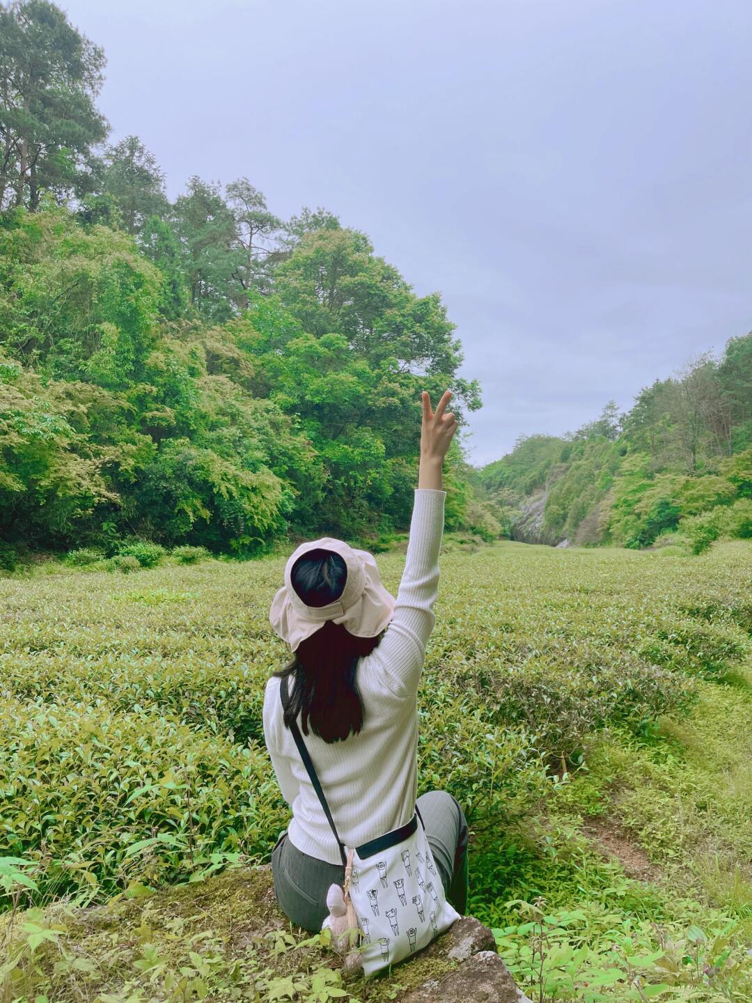 武夷山真的太适合散心了