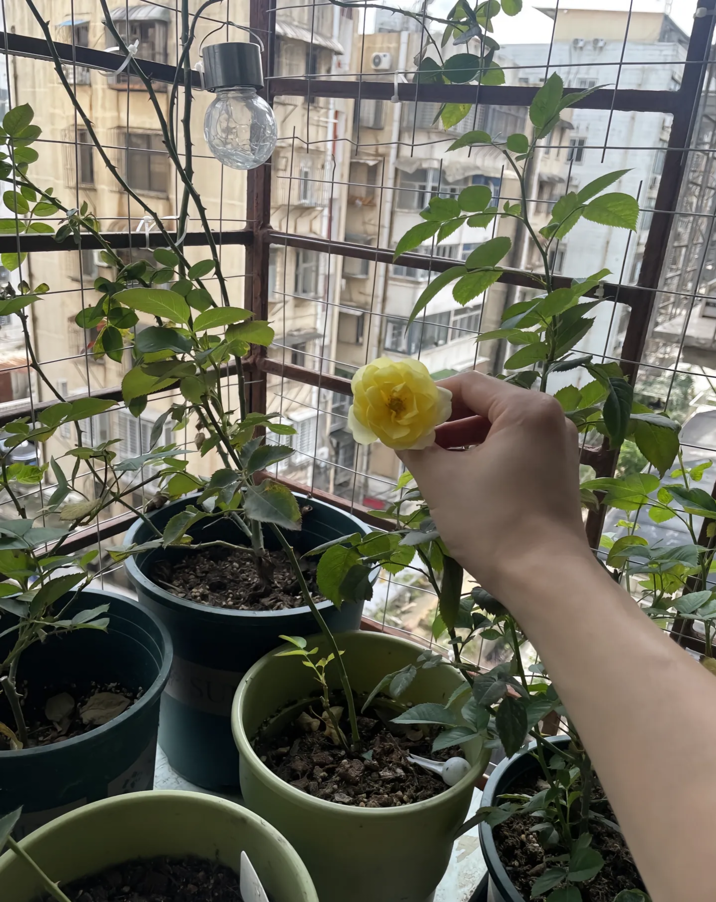 女朋友租这样的房子给你住，你介意吗