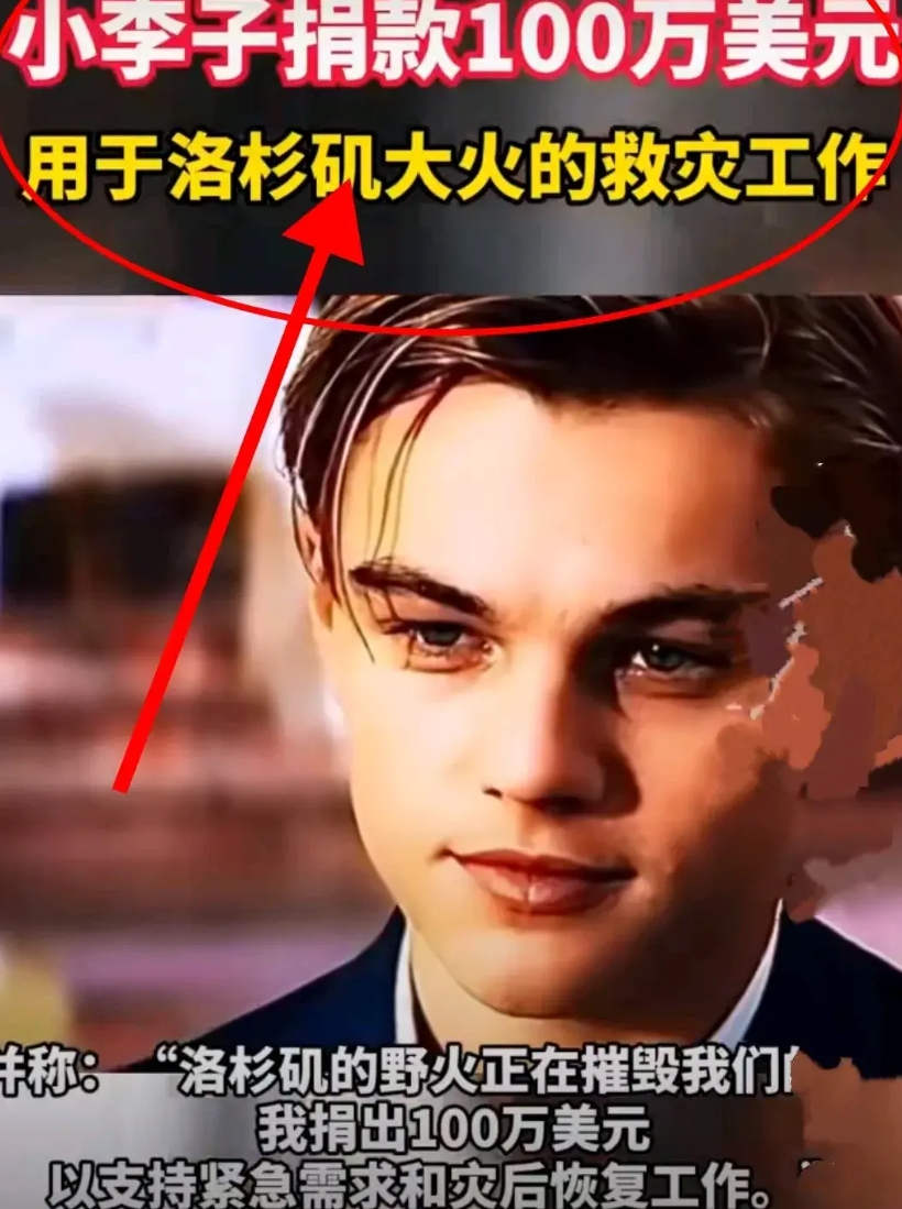 小李子也是个狠人啊！

他是有什么特殊爱好吗？大家发现没有，小李子捐款有个习惯，