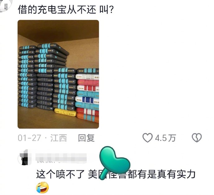 借的充电宝从不还