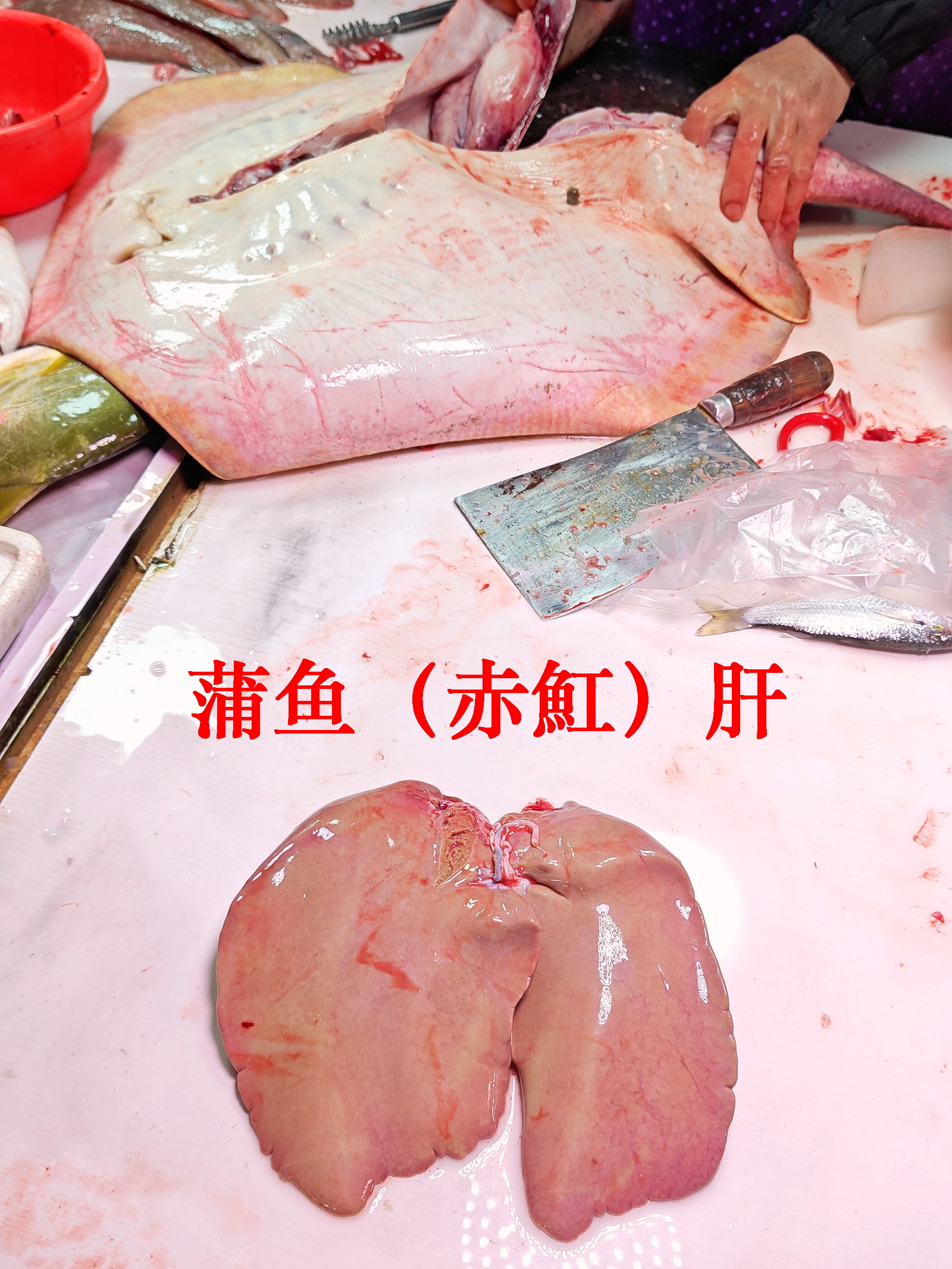 鱼肝是珍品，肉需对应烹调，蒲鱼（赤魟）