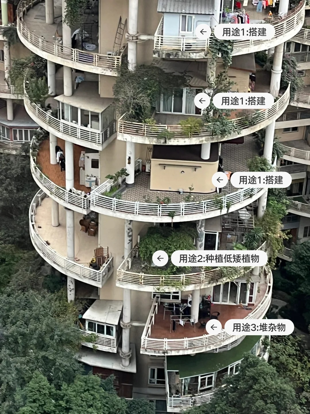 第四代住宅现状01-成都天鹅湖花园
#第四代住宅 #阳台花园
所谓的第四代住宅是