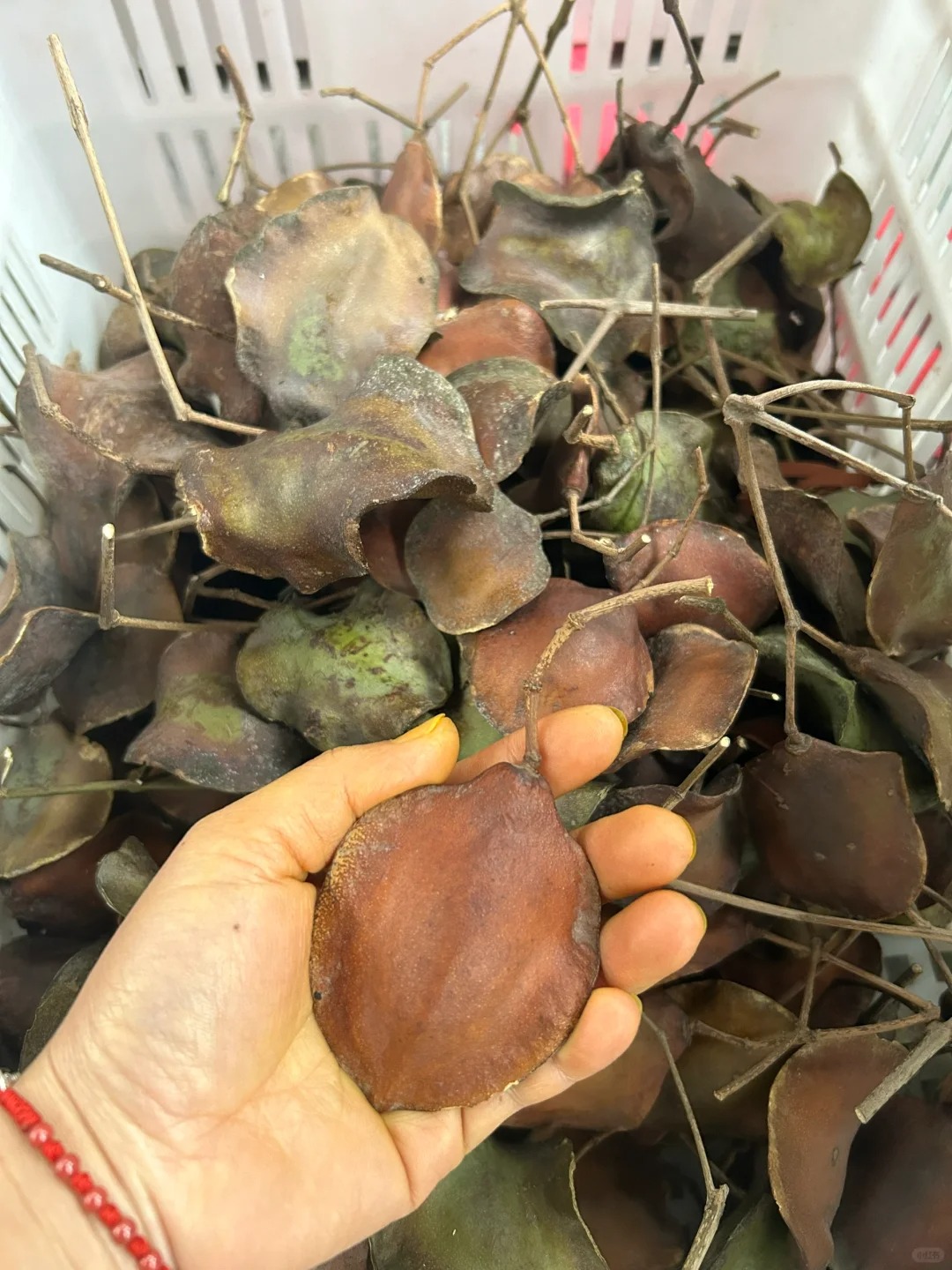 这泼天的富贵终于到我了
