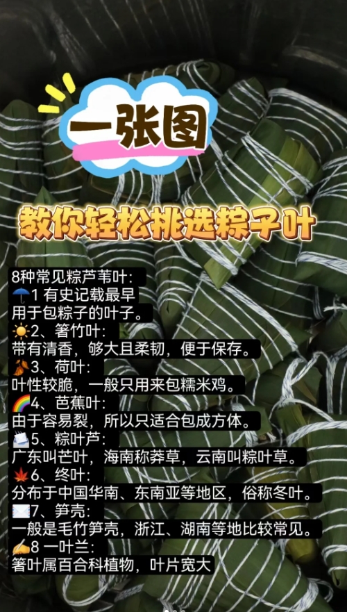 粽叶特点： 粽叶，又称“苇叶”，常见于我国南方，尤其是湖北、湖南等地。粽叶的绿色