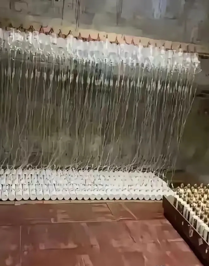 这就是老板你们喝的毛抬！