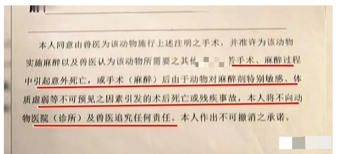 浙江一女子，天天抱着泰迪狗睡觉，可最近狗狗到了发情期，经常抱着她蹭来蹭去！为了不