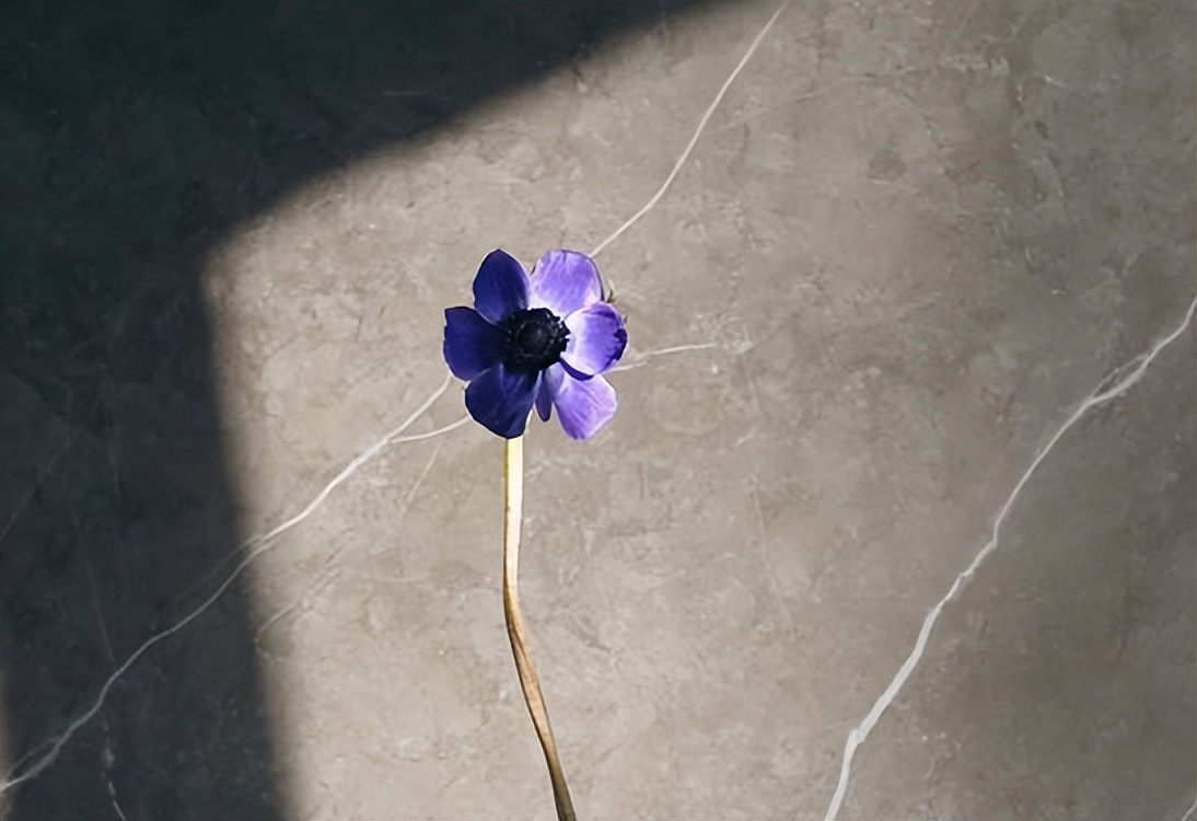 不是很心动，婚姻怎么选？