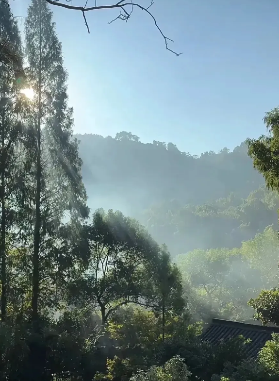 人死户销，社保局不会主动告诉你的几个冷知识:

1、别以为人走了，养老金就白交了