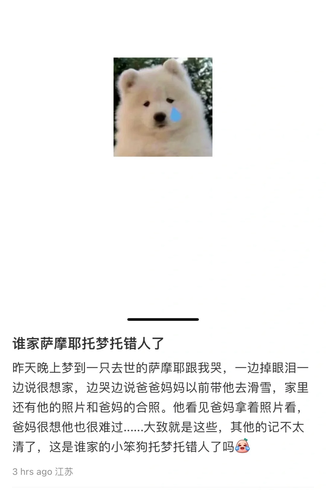 我的小狗托梦给谁了
可恶  谁偷了我的梦
我的小狗梦里一定有她的围巾狗窝，有两只